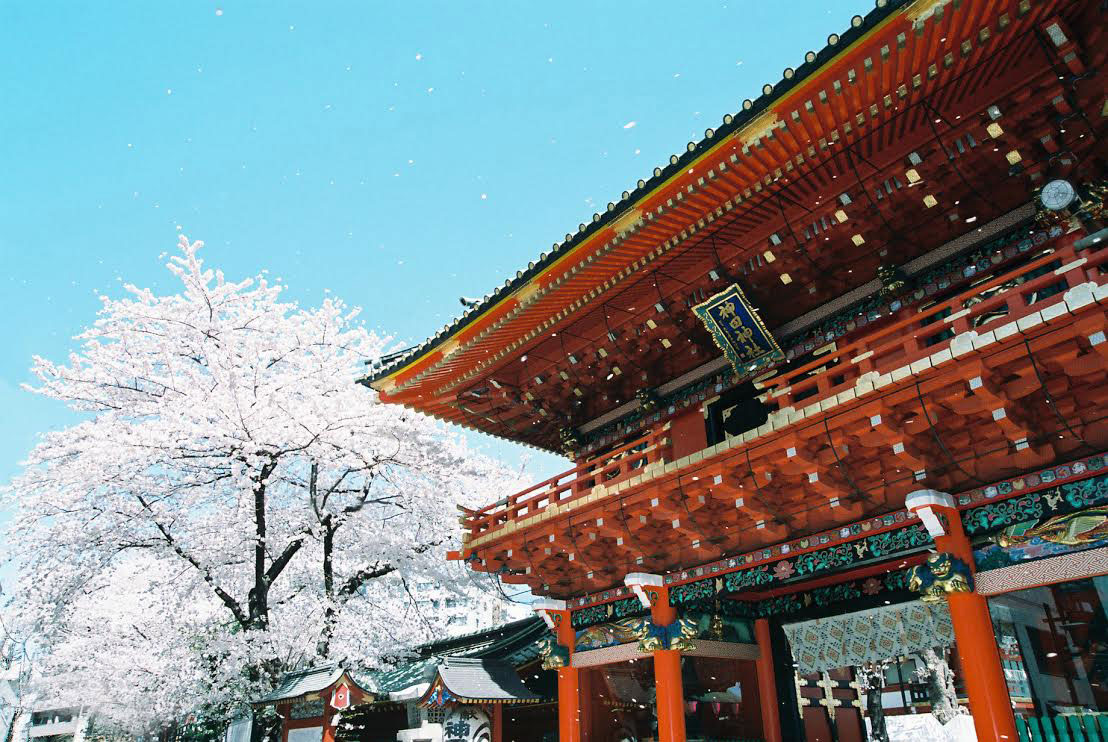神田明神と桜,プロドライバーが選ぶ!東京の最強交通安全お守り神社5選