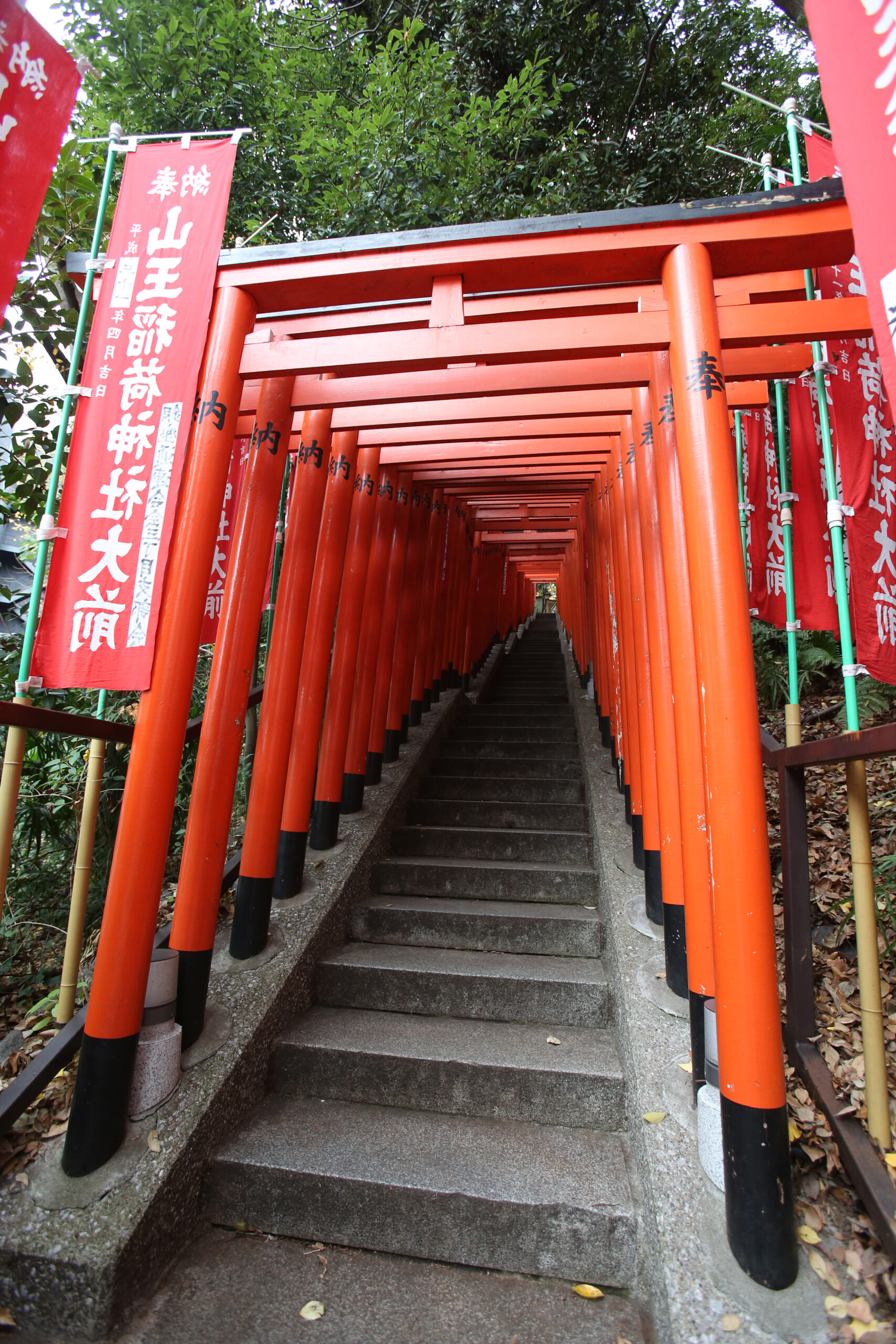 日枝神社の朱色の稲荷参道