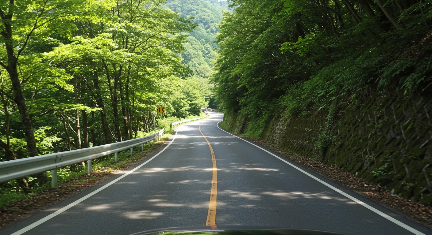 ヤビツ峠の道路状況と走行風景