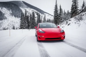 雪道を走行するテスラ