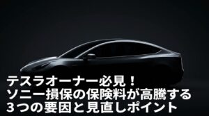 テスラオーナー必見！ソニー損保の保険料が高騰する3つの要因と見直しポイント